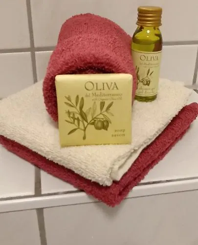 Appartamento Geborgenheit Asza Mit Strahlungsfreien Zonen