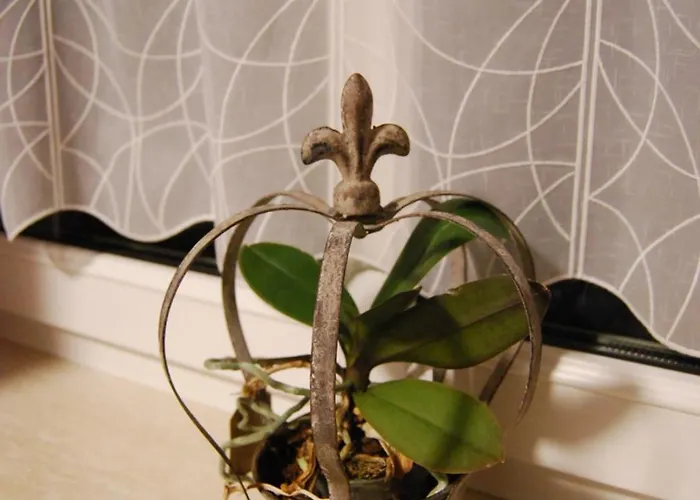 Appartamento Geborgenheit Asza Mit Strahlungsfreien Zonen